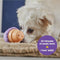 Brightkins Small Ice Cream Treat Dispenser - Hondenspeelgoed -