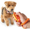 Brightkins Smarty Pooch Training Clicker Hotdog