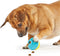 Brightkins Voerspeeltje Cupcake - Hondenspeelgoed - Blauw Small