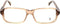Brillenframe Dames Tods TO5018-047-52 Bruin