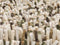 Brink en Campman Dots 170537 200x300 cm