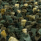 Brink en Campman Dots 170547 200x300 cm