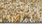 Brink en Campman - Pop-art 66907 Vloerkleed - 200x280 - Rechthoek - Hoogpolig Tapijt - Modern - Meerkleurig