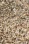 Brink en Campman - Rocks 70501 Vloerkleed - 140x200 - Rechthoek - Laagpolig,Structuur Tapijt - Modern - Meerkleurig