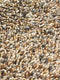 Brink en Campman - Rocks 70501 Vloerkleed - 170x240 - Rechthoek - Laagpolig,Structuur Tapijt - Modern - Meerkleurig