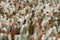 Brink en Campman Rocks 70523 140x200 cm