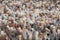 Brink en Campman Rocks 70528 250x350 cm