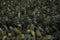 Brink en Campman Rocks 70547 250x350 cm