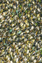 Brink en Campman - Spring 59107 Vloerkleed - 200x300 - Rechthoek - Hoogpolig,Structuur Tapijt - Modern - Meerkleurig