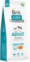 Brit Care Dog Grain-Free Adult Zalm - Hondenvoer - 12 kg