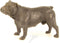 BRONZEN BULLDOG