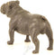 BRONZEN BULLDOG