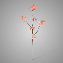 Brynxz | Zijdebloem | Prunus | Peach | 84cm