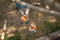 BS Toys Katrollenset - Buitenspeelgoed - 6 meter - Kabelbaan