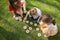 BS Toys Moves! Denkspel - Actief Beweeg Spel - Speelgoed Vanaf 6 Jaar - Houten Kaarten - Kinderspeelgoed - Cadeau kind