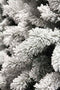 Black Box medford kerstboom groen frosted tips 710 maat in cm: 215x114