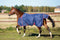 Kerbl RugBe Protect - Paardendeken - Waterbestendig 3000 mm - marine/rood - 145 cm