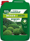 BSI Buxus Vloeibare Meststof 5l - Voor buxusplanten