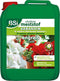 BSI Geranium Vloeibare Meststof 5l - Geranium