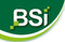 BSI Tekentang
