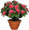 Kunstplant Azalea Peach - H 35cm - Terracotta sierpot - Mica Decorations