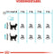 Royal Canin Urinary Care - Kattenvoer - 4 kg