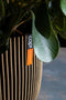 Capi Europe - Vaas elegant laag Groove NL - 34x46 - Antraciet - Opening Ø27 - Bloempot voor binnen en buiten - Levenslang garantie - Breukbestendig - 100% Recyclebaar - CO2 Neutraal geproduceerd - KGVZ782