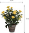 Mica Decorations Rozenstruik Kunstplant in Bloempot Stan - H33 x Ø25 cm - Geel