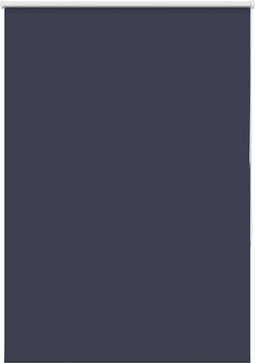 vidaXL - Rolgordijn - verduisterend - 100x175cm - stofbreedte - 95,7cm - polyester