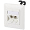 BTR mobule UP CAT 6A 180° 2 poorts