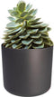 Elho B.for Soft Rond 22 - Bloempot - 100% gerecycled plastic - Ø 22.3 x H 20.4 cm - Antraciet