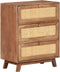 vidaXL - Dressoir - 61x35x76 - cm - massief - mangohout