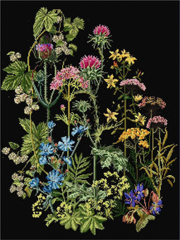 Thea Gouverneur - Borduurpakket met telpatroon - 424.05 - Voorgesorteerde DMC Garens - Wilde kruiden - Zwart Aida - 35 cm x 46 cm - DIY Kit