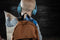 BuddyPhones Travel, Foldable with 3 step volume setting, Blue