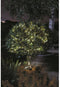 Buiten zonne-snoer SMARDTV - Firefly 100 Leds koel wit - 11,9m - metaal