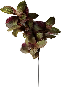 Buitengewoon de boet - Berkenblad groen rood 120 cm
