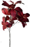 Buitengewoon de boet - Berkenblad rood bruin 120 cm