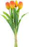 Buitengewoon de boet - Bosje kunst tulpen Holland Sally X5 orange 3...