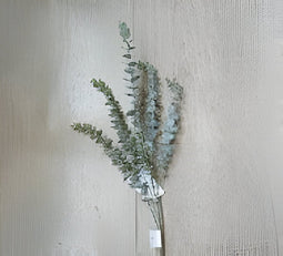 Buitengewoon de boet - Eucalyptus tak groen 78 cm