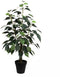 Buitengewoon de boet - Ficus Bonsai Donkergroen 60 cm kunstplant