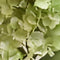 Buitengewoon de boet - Kunst hortensia pluim lichtgroen 85 cm