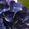 Buitengewoon de boet - Kunst hortensia tak blauw 62 cm