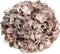 Buitengewoon de boet - Kunst hortensia tak bruin 92 cm