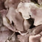 Buitengewoon de boet - Kunst hortensia tak bruin 92 cm