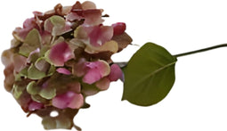 Buitengewoon de boet - Kunst hortensia tak groen roze 62 cm