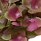 Buitengewoon de boet - Kunst hortensia tak groen roze 62 cm