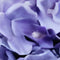 Buitengewoon de boet - Kunst hortensia tak lila 92 cm