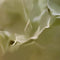 Buitengewoon de boet - Kunst hortensia tak wit 92 cm