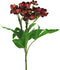 Buitengewoon de Boet - Kunstbloem Helleborus niger spray red 59 cm