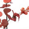 Buitengewoon de boet - Money leaf tak bruin rood 104 cm